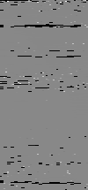 MTVZA-15.png